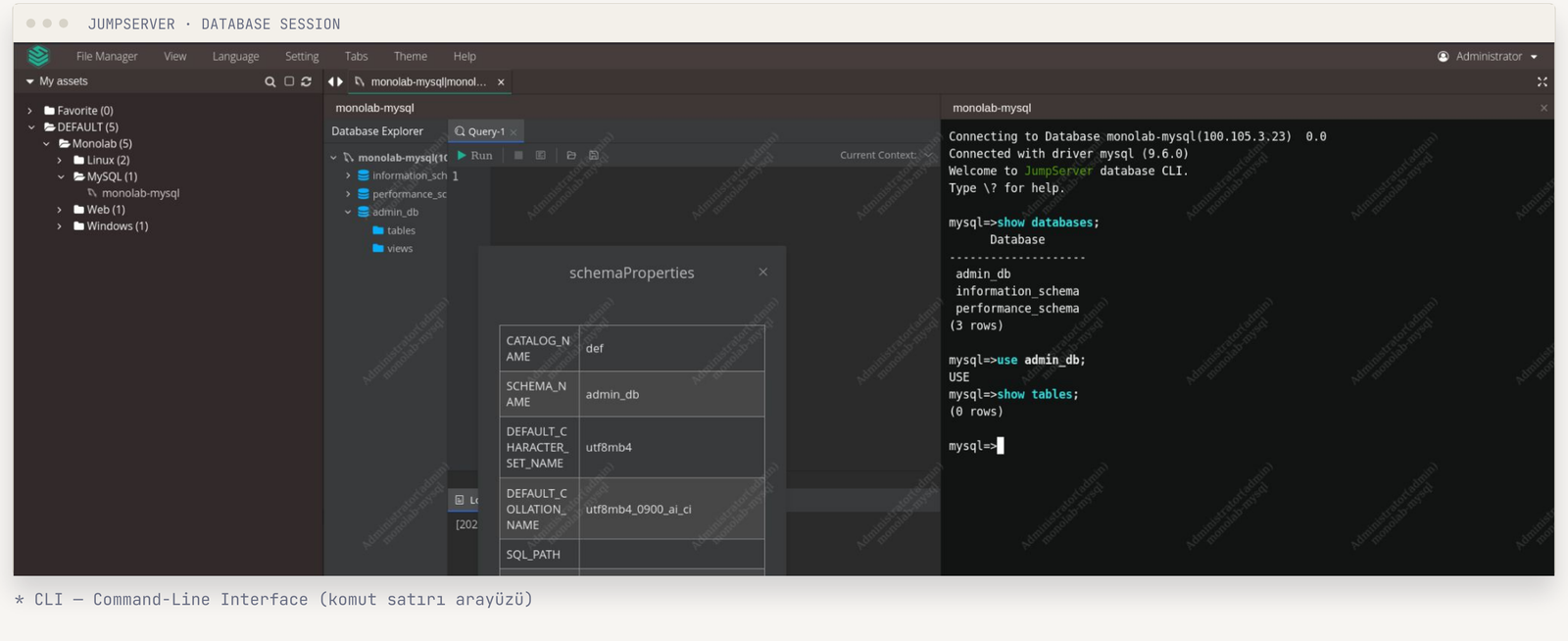 JumpServer Veritabanı UI